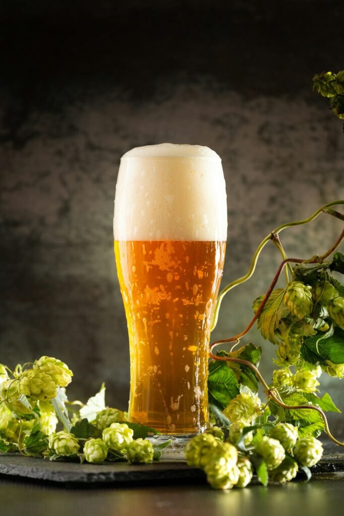 Glass of light beer with hops around on a dark background Glass of light beer with hops around on a dark background